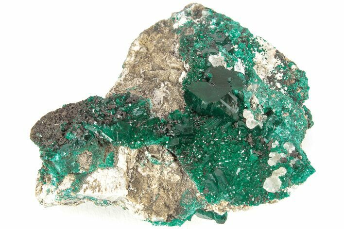 Sparkling Dioptase Crystal Cluster - N'tola Mine, Congo #209677